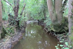 31.-Upstream-from-south-entrance-8