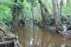 31.-Upstream-from-south-entrance-9