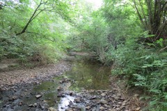 41.Downstream-from-Dairy-House-Lane-Bridge-bridge-5