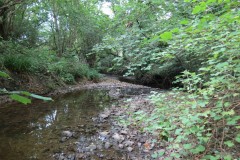 41.Downstream-from-Dairy-House-Lane-Bridge-bridge-6