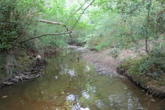 41.Downstream-from-Dairy-House-Lane-Bridge-bridge-7