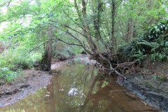 41.Downstream-from-Dairy-House-Lane-Bridge-bridge-8