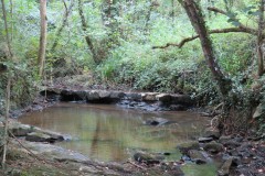 5.Upstream-from-West-entrance-of-Bickenhall-Bridge
