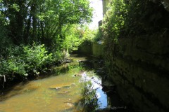 58.Downstream-from-Brandy-Bridge-3