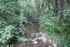 6.Upstream-from-West-entrance-of-Bickenhall-Bridge