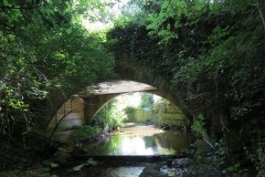 65.Brandy-Bridge-upstream-arch