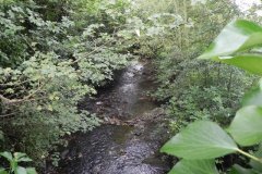 14.-Looking-downstream-from-Palace-Farm-North-Bridge