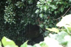 15.-Palace-Farm-South-Bridge-Upstream-Arch