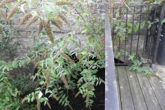 18.-Southover-BridgeA-Upstream-Arch