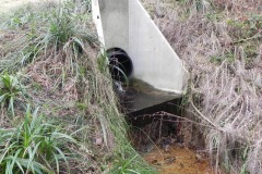 11.-Outlet-from-Lake