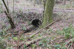 14.-Forest-Track-Bridge-Downstream-from-Lake