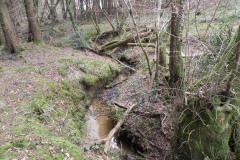 15.-Downstream-from-Forest-Track-Bridge