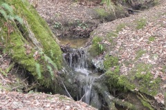 17.-Upstream-from-Brickhouse-Farm-Footbridge