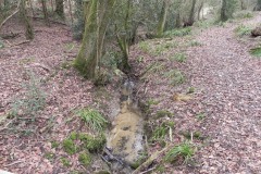 18.-Looking-Upstream-from-Brickhouse-Farm-Footbridge