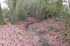 20.-Looking-Upstream-from-Brickhouse-Farm-Culvert