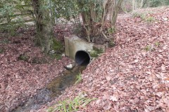 21.-Brickhouse-Farm-CulvertUpstream-Face