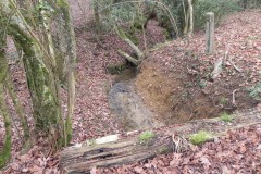 23.-Looking-Downstream-from-Brickhouse-Farm-Culvert