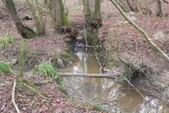 29.-Downstream-from-Stream-Join