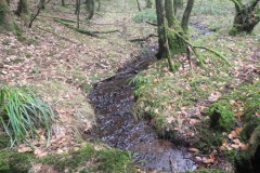 3.-The-early-river-Cale-in-Coneygore-Wood