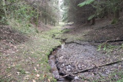 5.Looking-downstream-to-source-in-Coneygore-Wood