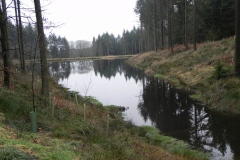 9.-Holding-Lake-in-Coneygore-Wood