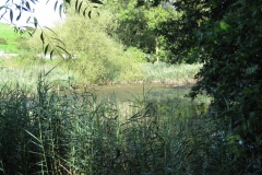 A. Cary Source to Fulford Cross