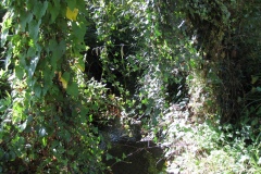 10.-Market-Yard-Footbridge-First-over-the-River-Cary-Looking-Downstream