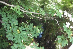 16.-Millbrook-Gardens-Bridge-Looking-Upstream