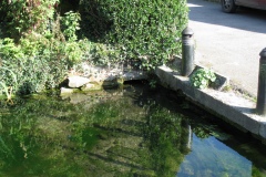4.-Horse-Pond-Castle-Cary