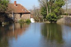 1.-Compton-Martin-pond-source-3