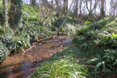 11.-Downstream-from-Accomodation-bridge-C-11