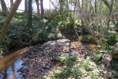 11.-Downstream-from-Accomodation-bridge-C-2