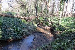 11.-Downstream-from-Accomodation-bridge-C-4