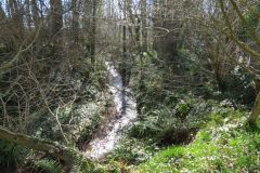 11.-Downstream-from-Accomodation-bridge-C-9