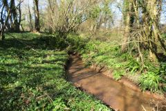 14.-Downstream-from-accommodation-bridge-D-4