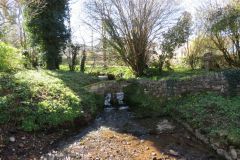3.-Downstream-from-pond-1
