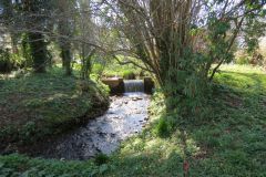 3.-Downstream-from-pond-2