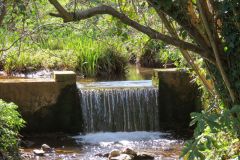 3.-Downstream-from-pond-3