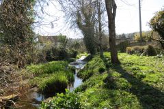 3.-Downstream-from-pond-4