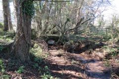 7.Looking-Downstream-to-Accommodation-bridge-B