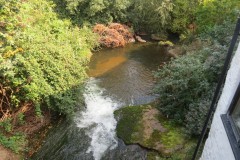 IMG_1036