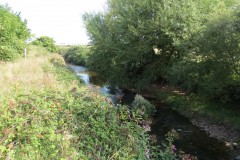 IMG_1045
