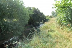 IMG_1046