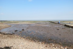 IMG_1056