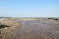 IMG_1057