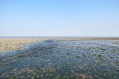 IMG_1059