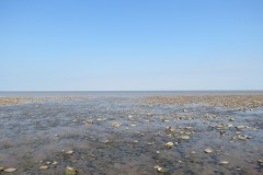 IMG_1060