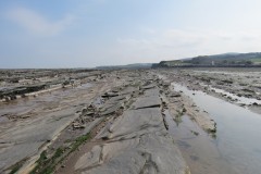 IMG_1065