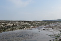 IMG_1066