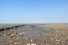 IMG_1069